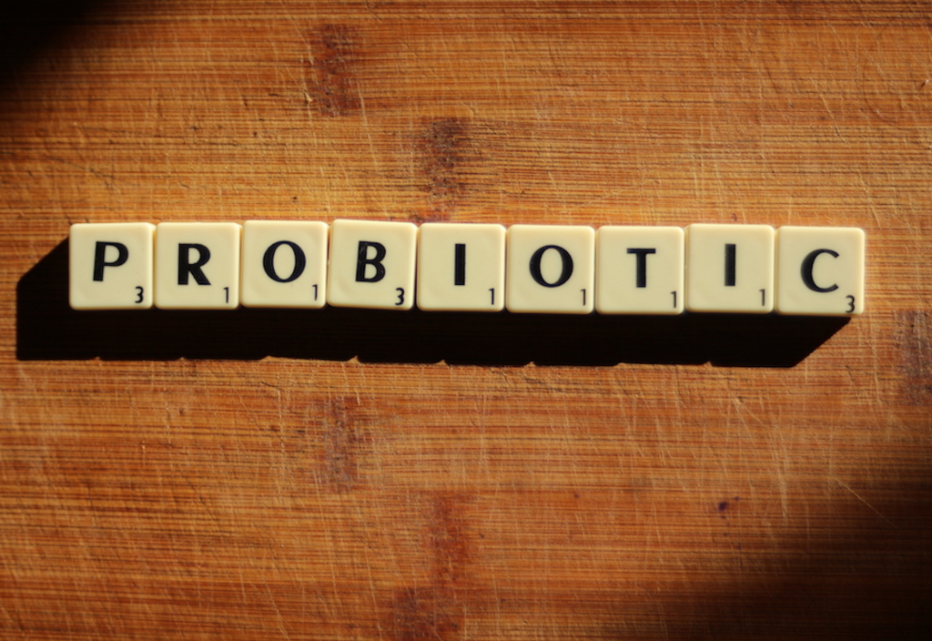 Apakah Probiotik Lebih Baik dari Fiber? apakah probiotik lebih baik dari fiber