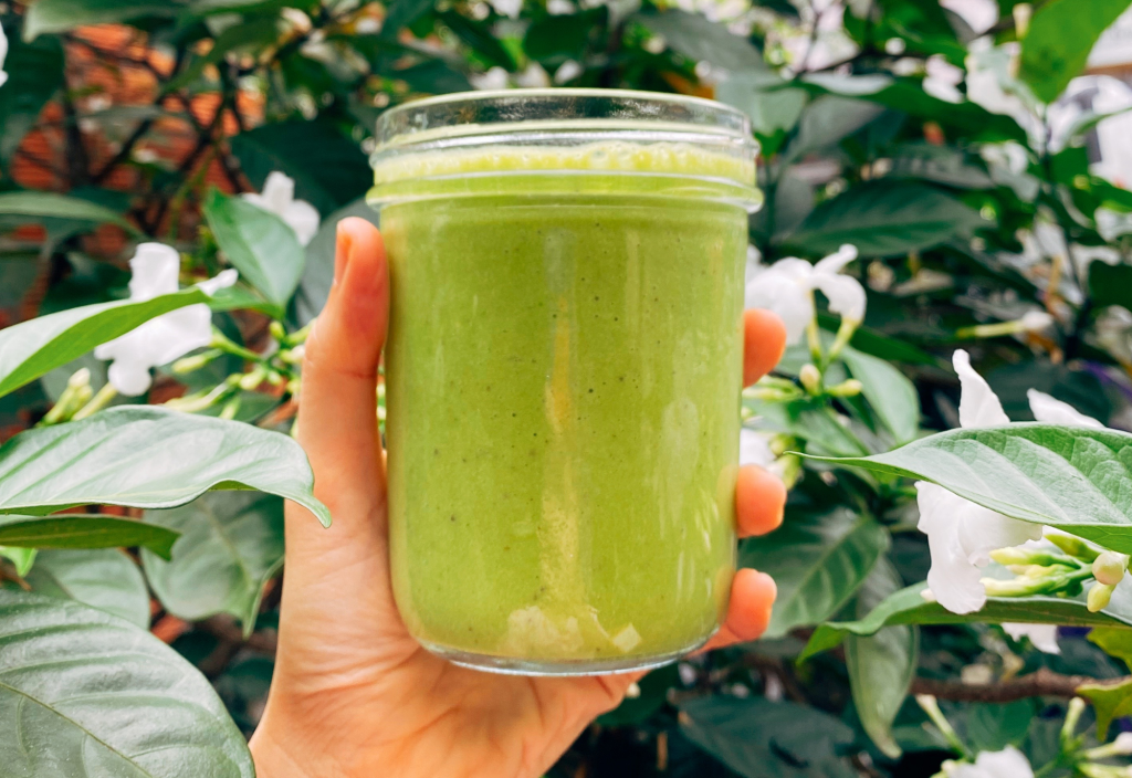 Jasa Maklon Fiber Detox: Apa Saja yang Didapatkan? jasa maklon fiber detox apa saja yang didapatkan